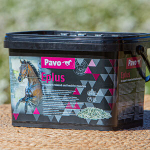 Pavo Eplus