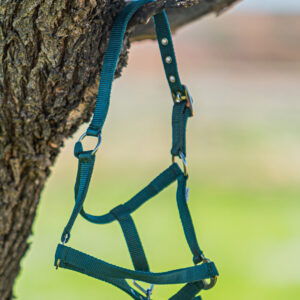 Cabezada cuadra nylon potro